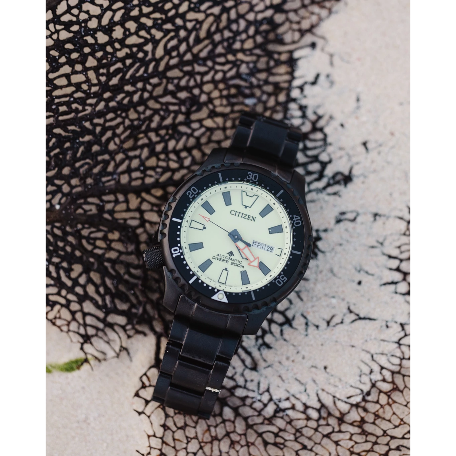 Reloj Citizen Promaster Dive Automatic NY0155-58X | Elegancia relojería